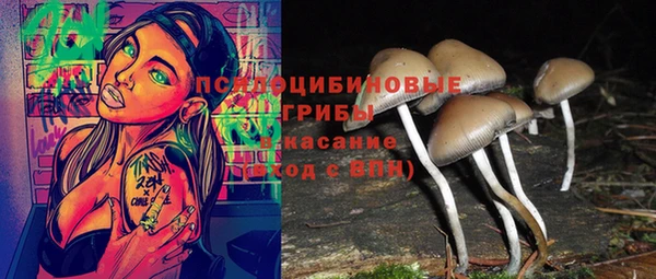 стаф Абинск
