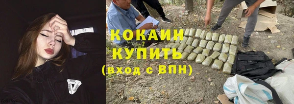 стаф Абинск